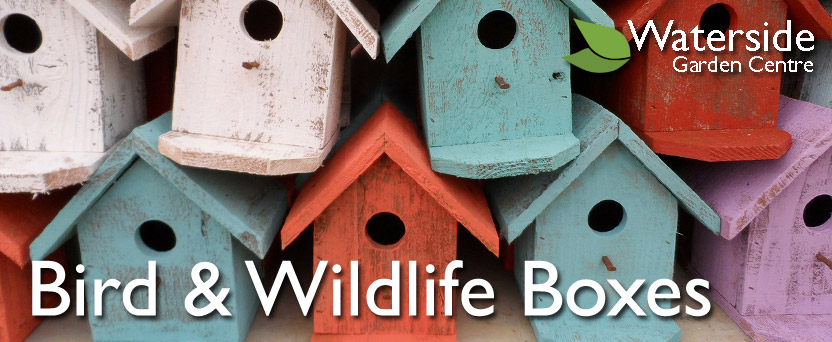 Nest Boxes Nest Boxes