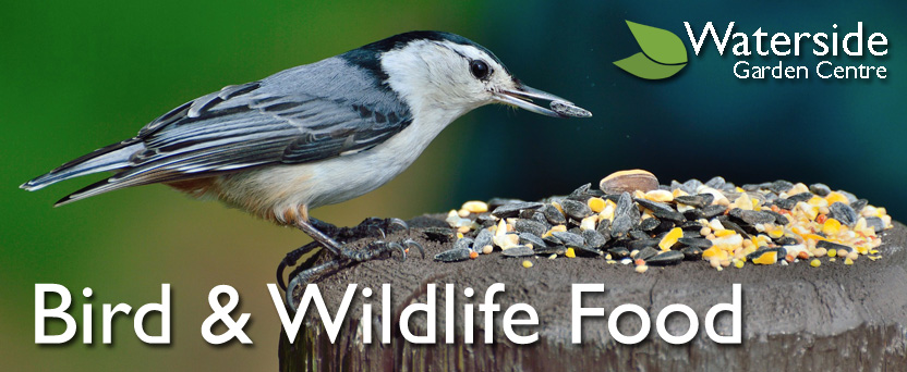 Bird & Wildlife Food Bird & Wildlife Food