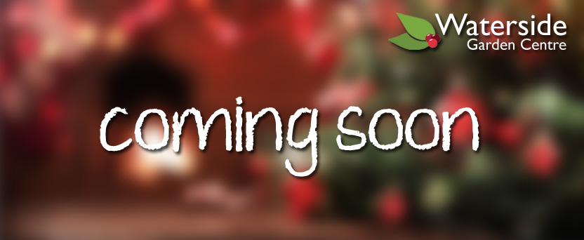 Christmas Tree Stands & Skirts Christmas Tree Stands & Skirts