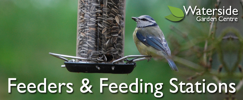 Feeders & Feeding Stations