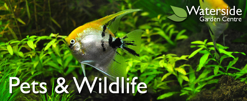 Pets & Wildlife Pets & Wildlife