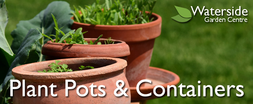 Plant Pots & Containers Plant Pots & Containers