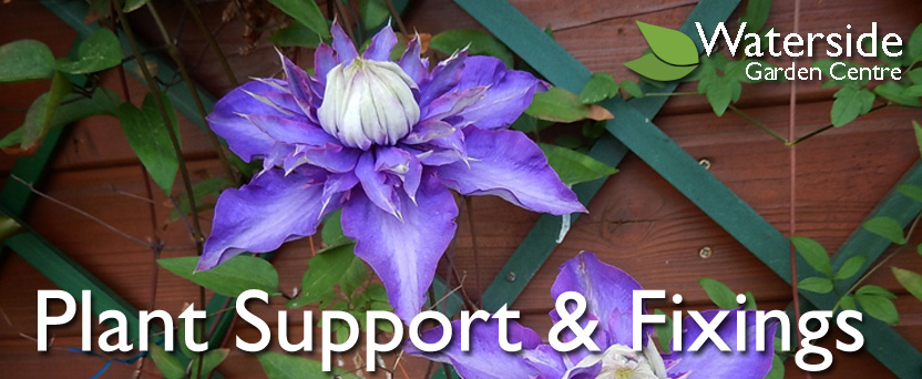 Plant Supports & Fixings