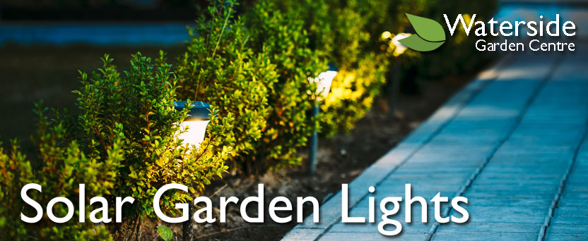 Solar Lights Solar Lights