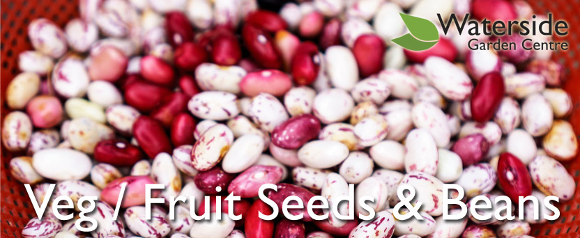 Vegetable / Fruit Seed & Beans Vegetable / Fruit Seed & Beans