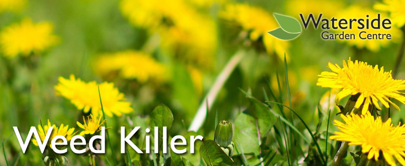 Weed Killer Weed Killer