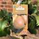 Pear (Pyrus) Beurré Hardy 11.5 L