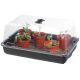 Electric Propagator