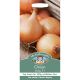 Mr. Fothergill's - Onion Seeds - Vento F1