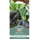Mr. Fothergill's - Pak Choi Seeds - Colour & Crunch F1