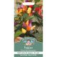 Mr. Fothergill's - Pepper Seeds - (Hot) Razzamatazz