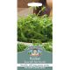Mr. Fothergill's - Rocket Seeds - Buzz (All Year Round)
