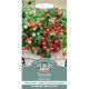 Mr. Fothergill's - Tomato Seeds - Maskotka