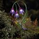 Fuschia Flower Stake Light Solar Powered