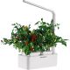 Plantpak Hydropod with Grow Light