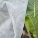 White Plant Warming Fleece