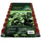 Growers Choice Seed & Cutting Tray (40 x 6cm pots)