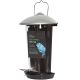 Tom Chambers Seed Wall Feeder