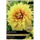 Taylors Bulbs - Dazzling Sun - Dahlia