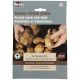 Taylors Bulbs - Charlotte - Summer Planting Seed Potatoes