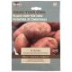 Taylors Bulbs - 10 Desiree Seed Potato