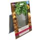 Taylors Bulbs - 1 Outdoor Potato Growing Bag