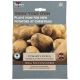Taylors Bulbs - 10 Sharpe's Express Seed Potato