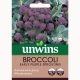 Unwins Broccoli early Purple Sprouting - Broccoli Seeds
