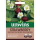 Unwins Strawberry (Alpine) Golden Alexandria