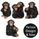 Vivid Arts Real Life Chimpanzees - Design Choice