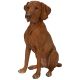 Vivid Arts Real Life Dogs - Hungarian Visla Garden Ornament