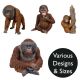 Vivid Arts Real Life Orangutans - Design Choice