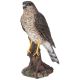 Vivid Arts Real Life Birds - Sparrowhawk