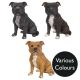 Vivid Arts Real Life Staffordshire Terrier - Design Choice