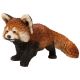 Vivid Arts Real Life Zoo - Red Panda Garden Ornament
