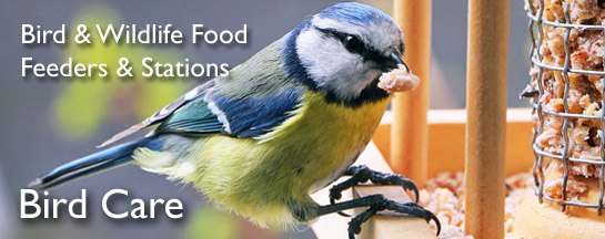Shop Bird Food and Feeders online